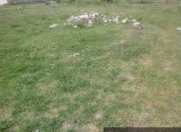 Satılır 6 sot torpaq Quba