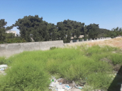 Satılır 17 sot torpaq 8 km