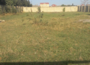 Satılır 15 sot torpaq Pirşağı