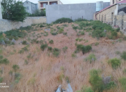 Satılır 7 sot torpaq Badamdar