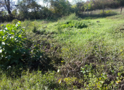 Satılır 12 sot torpaq Qusar