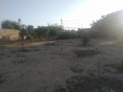 Satılır 4 otaqlı 85 m2 bağ evi Maştağa