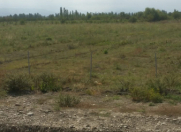 Satılır 210 sot torpaq Xaçmaz