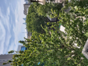 Satılır 2 otaqlı 37 m2 köhnə tikili Hilton otel