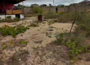 Satılır 50 sot torpaq Albalı