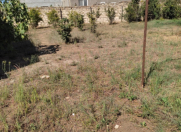 Satılır 6 sot torpaq Nardaran