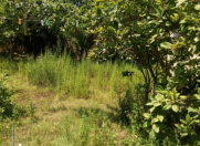 Satılır 7 otaqlı 140 m2 həyət evi Xaçmaz