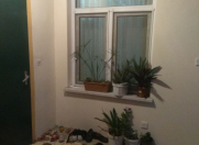 Satılır 5 otaqlı 105 m2 həyət evi Qaraçuxur