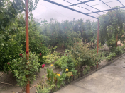 Satılır 6 otaqlı 220 m2 həyət evi Sulutəpə