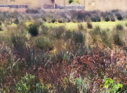 Satılır 3 sot torpaq Ekologiya və Təbii Sərvətlər Nazirliyi