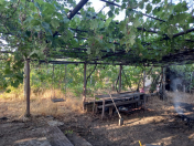 Satılır 1 otaqlı 30 m2 bağ evi Novxanı