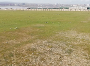 Satılır 44 sot torpaq Novxanı