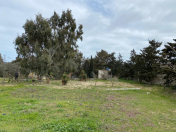 Satılır 32 sot torpaq Şüvəlan