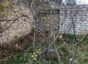 Satılır 3 sot torpaq Şüvəlan