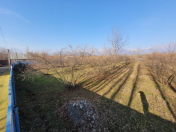 Satılır 55 sot torpaq Qəbələ