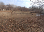 Satılır 7.5 sot torpaq Naxçıvan