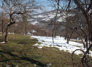 Satılır 3 otaqlı 90 m2 həyət evi Lerik