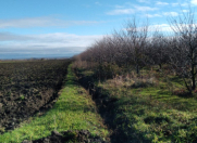 Satılır 2500 sot torpaq Quba