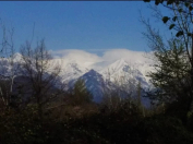 Satılır 20 sot torpaq Qəbələ