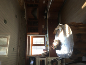 Satılır 9 otaqlı 47.5 m2 həyət evi Buzovna