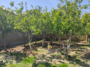 Satılır 3 otaqlı 90 m2 həyət evi Ümid