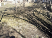 Satılır 5 sot torpaq Qəbələ