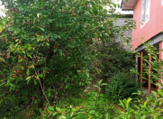 Satılır 4 otaqlı 93 m2 həyət evi Şəki