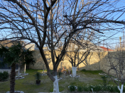 Satılır 1 sot torpaq Sumqayıt