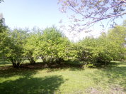 Satılır 44 sot torpaq Qəbələ