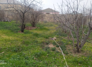 Satılır 6 sot torpaq Mehdiabad