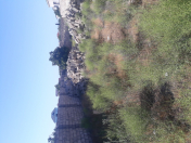 Satılır 3.5 sot torpaq Albalı