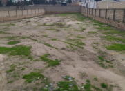 Satılır 12 sot torpaq Novxanı