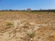 Satılır 100 sot torpaq Bilgəh