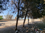 Satılır 16 sot torpaq Bilgəh