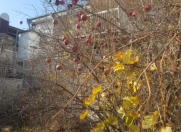 Satılır 3 otaqlı 6 m2 həyət evi Bayıl