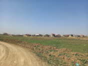 Satılır 6 sot torpaq Saray