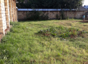 Satılır 6 sot torpaq Qəbələ