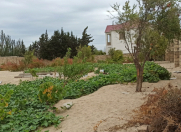 Satılır 12 sot torpaq Novxanı