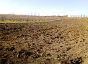 Satılır 26 sot torpaq Quba