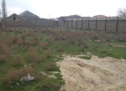 Satılır 11 sot torpaq Novxanı