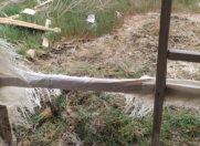 Satılır 2 sot torpaq Kürdəxanı