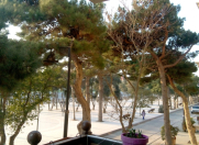 İcarəyə verilir 2 otaqlı 55 m2 köhnə tikili Buzovna