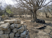 Satılır 15 sot torpaq Sumqayıt