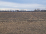 Satılır 100 sot torpaq Samux