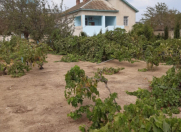 Satılır 15 sot torpaq Buzovna