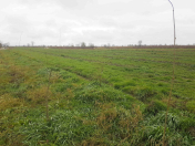 Satılır 300 sot torpaq Xudat