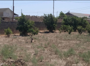 Satılır 6 sot torpaq Qala