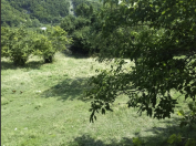 Satılır 13 sot torpaq Naxçıvan