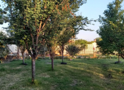 Satılır 5 otaqlı 150 m2 bağ evi Zaqatala