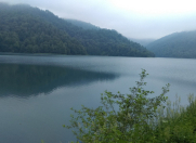 Satılır 350 sot torpaq Məhəmmədli